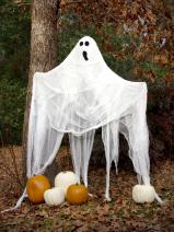 original_Layla-Palmer-Halloween-gauze-ghost-beauty_s3x4.jpg.rend.hgtvcom.1280.1707